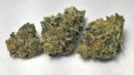 Girl scout cookies